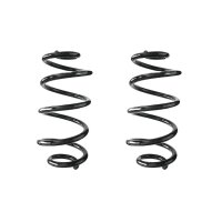 Fahrwerksfeder-Set hinten Schraubenfeder 314mm SPIDAN...
