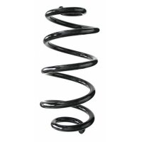 Fahrwerksfeder-Set hinten Schraubenfeder 314mm SPIDAN...