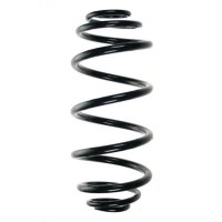 Fahrwerksfeder-Set hinten Schraubenfeder 320mm SPIDAN...