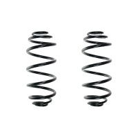 Suspension spring set rear coil spring 320mm SPIDAN for...