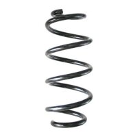 Fahrwerksfeder-Set hinten Schraubenfeder 246mm SPIDAN...
