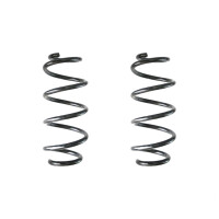 Fahrwerksfedern-Set hinten Schraubenfeder 246mm SPIDAN...