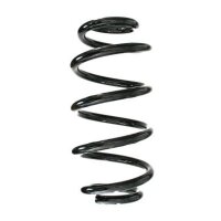 Fahrwerksfeder-Set hinten Schraubenfeder 266mm SPIDAN...