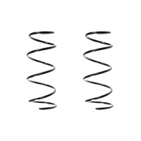 Fahrwerksfedern-Set vorne Schraubenfeder 371mm SPIDAN...