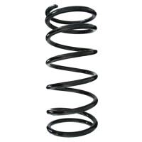 Fahrwerksfedern-Set hinten Schraubenfeder 408mm SPIDAN...