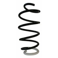 Fahrwerksfeder-Set vorne Schraubenfeder 304mm SPIDAN...