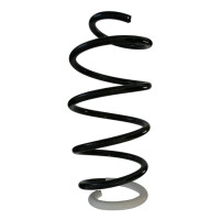 Suspension spring set front coil spring 304mm SPIDAN for...