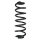 Fahrwerksfeder-Set hinten Schraubenfeder 364mm SPIDAN für VW PASSAT B6