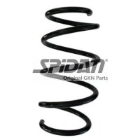 Fahrwerksfeder-Set vorne Schraubenfeder 277mm SPIDAN...
