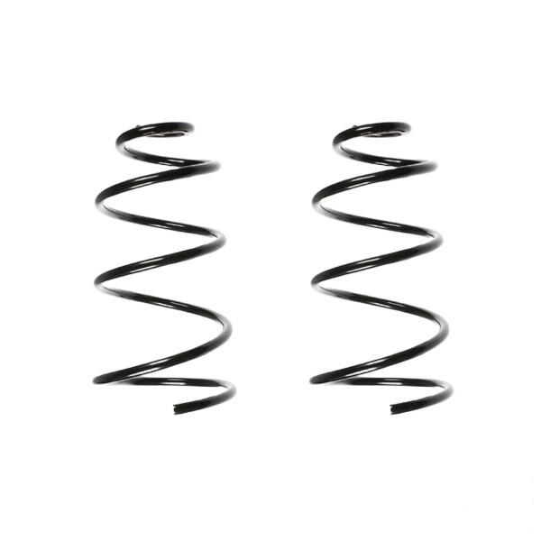 Fahrwerksfedern-Set vorne Schraubenfeder 319mm SPIDAN für u.a. FIAT PUNTO 176
