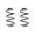 Suspension spring set front coil spring 289mm SPIDAN for VW LUPO I