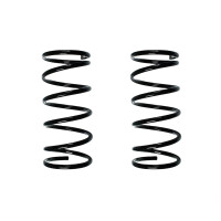 Suspension spring set rear coil spring 311mm SPIDAN for...
