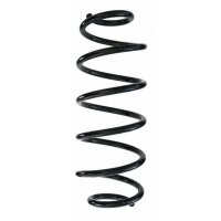 Fahrwerksfeder-Set hinten Schraubenfeder 326mm SPIDAN...
