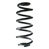 Fahrwerksfeder-Set hinten Schraubenfeder 278mm SPIDAN...
