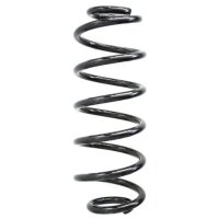 Fahrwerksfeder-Set hinten Schraubenfeder 326mm SPIDAN...