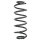 Fahrwerksfeder-Set hinten Schraubenfeder 326mm SPIDAN für VW GOLF V