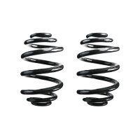Fahrwerksfedern-Set hinten Schraubenfeder 237mm SPIDAN...