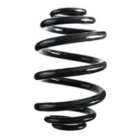 Fahrwerksfedern-Set hinten Schraubenfeder 237mm SPIDAN...
