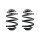 Fahrwerksfedern-Set hinten Schraubenfeder 237mm SPIDAN für u.a. BMW 3 E46