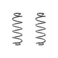Fahrwerksfeder-Set hinten Schraubenfeder 308mm SPIDAN...