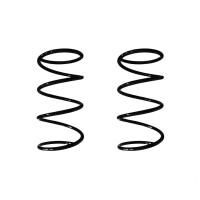 Fahrwerksfedern-Set vorne Schraubenfeder 363mm SPIDAN...