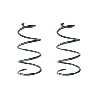 Suspension spring set front coil spring 324mm SPIDAN for...