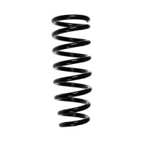 Fahrwerksfeder-Set hinten Schraubenfeder 310mm SPIDAN...