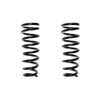 Suspension spring set rear coil spring 319mm SPIDAN for...