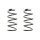 Fahrwerksfeder-Set vorne Schraubenfeder 311mm SPIDAN für AUDI TT (8N3)