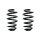 Suspension spring set rear coil spring 252mm SPIDAN for AUDI A4 B6