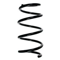 Fahrwerksfeder-Set vorne Schraubenfeder 318mm SPIDAN...