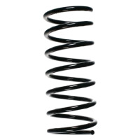 Fahrwerksfedern-Set hinten Schraubenfeder 252mm SPIDAN...