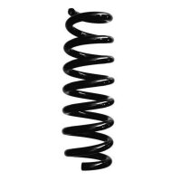 Fahrwerksfeder-Set hinten Schraubenfeder 293mm SPIDAN...