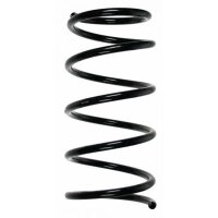 Fahrwerksfeder-Set hinten Schraubenfeder 319mm SPIDAN...