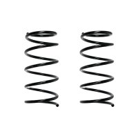 Suspension spring set rear coil spring 319mm SPIDAN for...