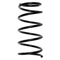 Suspension spring set rear coil spring 319mm SPIDAN for...