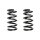 Suspension spring set front coil spring 276mm SPIDAN for FORD TRANSIT