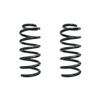 Suspension spring set rear coil spring 305mm SPIDAN for...