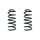 Fahrwerksfeder-Set hinten Schraubenfeder 305mm SPIDAN für OPEL INSIGNIA A