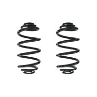 Suspension spring set rear coil spring 300mm SPIDAN for...