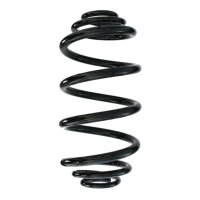 Suspension spring set rear coil spring 300mm SPIDAN for...