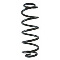 Fahrwerksfeder-Set hinten Schraubenfeder 321mm SPIDAN...