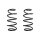 Suspension spring set front coil spring 350mm SPIDAN for FORD S MAX CJ