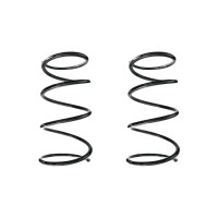 Fahrwerksfedern-Set vorne Schraubenfeder 362mm SPIDAN...