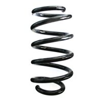 Fahrwerksfeder-Set hinten Schraubenfeder 276mm SPIDAN...