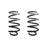 Suspension spring set rear coil spring 276mm SPIDAN for...