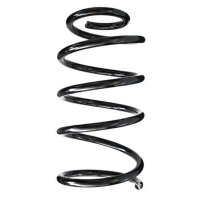 Fahrwerksfeder-Set vorne Schraubenfeder 313mm SPIDAN...