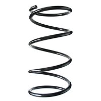 Fahrwerksfeder-Set vorne Schraubenfeder 337mm SPIDAN...