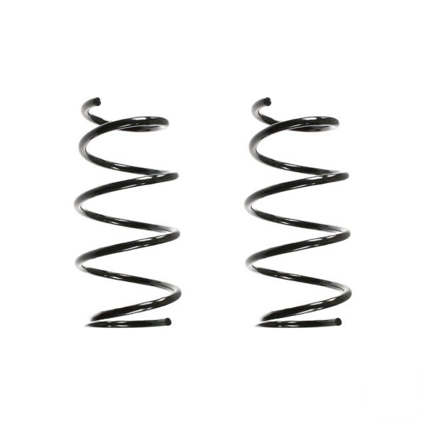 Suspension spring set front coil spring 345mm SPIDAN for RENAULT MEGANE I