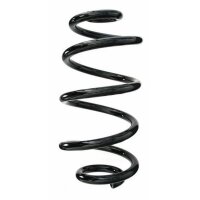 Fahrwerksfeder-Set hinten Schraubenfeder 303mm SPIDAN...